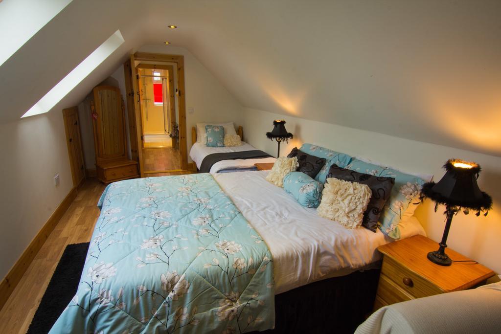 The Thatched Cottage B&B Claregalway Bilik gambar
